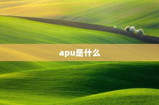 apu是什么 飞机上的APU是什么？