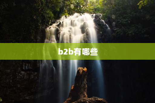 b2b有哪些 b2b跨境电商的代表企业有？