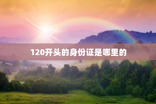 120开头的身份证是哪里的 身份证号码120开头是什么省份的？