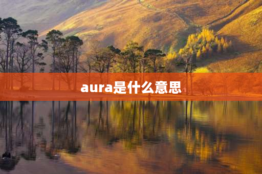 aura是什么意思 有ur字母组合的单词？