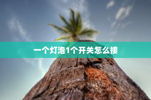 一个灯泡1个开关怎么接 一个单控开关，灯泡咋接，电源线咋接？