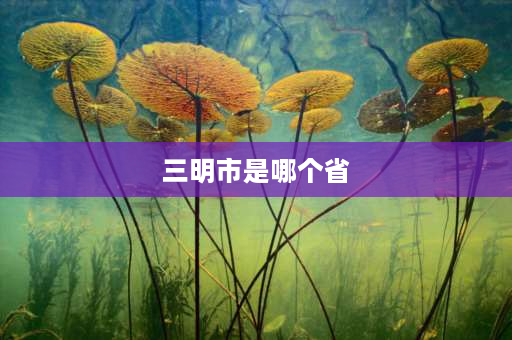 三明市是哪个省 哪里，三明市在哪个省，三明属于哪个市？