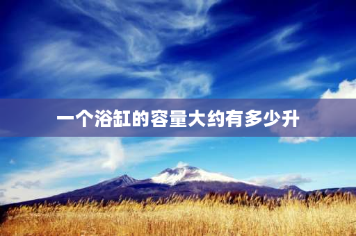 一个浴缸的容量大约有多少升 一个浴缸的容量是40升还是400升？