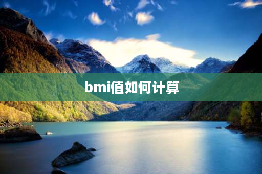 bmi值如何计算 BMI的测算公式？