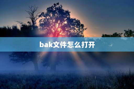 bak文件怎么打开 微信bak文件怎么打开？