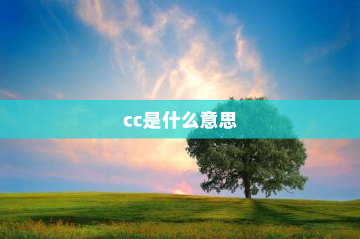 cc是什么意思 cc是什么意思？