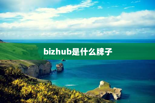 bizhub是什么牌子 bizhub3000mf怎么加粉？