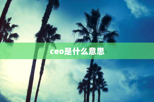 ceo是什么意思 Ceo中文是什么意思？