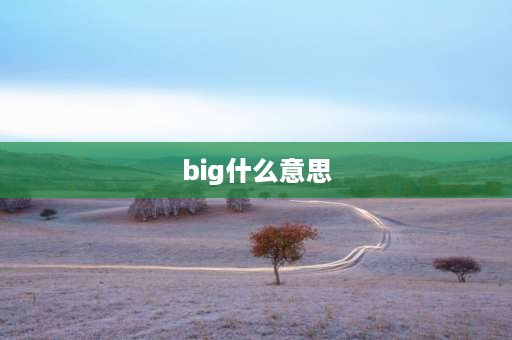 big什么意思 英语big的中文是什么意思？