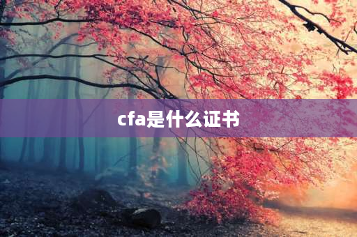 cfa是什么证书 cfa证持有人是金融人才吗？