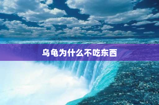 乌龟为什么不吃东西 乌龟不吃东西？