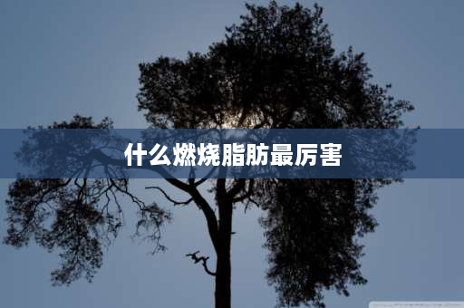 什么燃烧脂肪最厉害 跑步每公里配速多少燃烧脂肪最好？