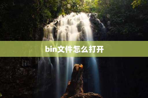 bin文件怎么打开 bin文件用什么打开？