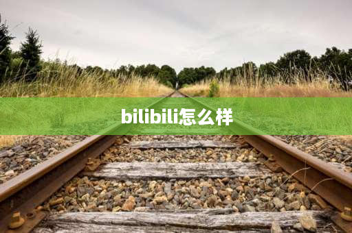 bilibili怎么样 bilibiliapp教学怎么样？