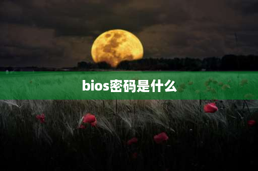 bios密码是什么 bios密码设置方法？