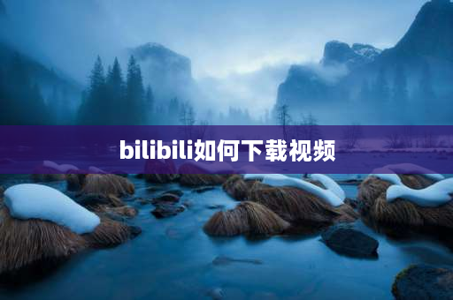 bilibili如何下载视频 Bilibili上面的视频如何下载到手机上？