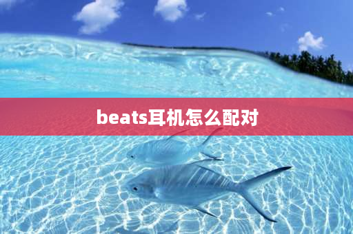 beats耳机怎么配对 beatsstudio耳机怎么配对？