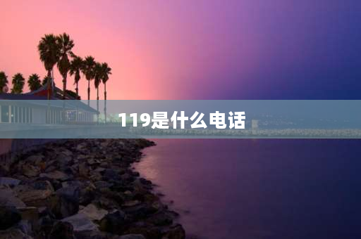 119是什么电话 关于119的知识内容？