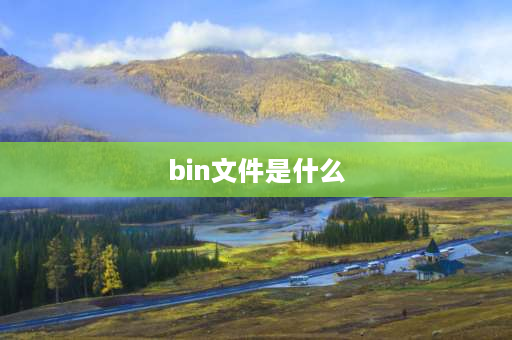 bin文件是什么 BIN文件是什么？起什么作用的？