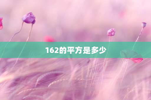 162的平方是多少 162开方是多少？