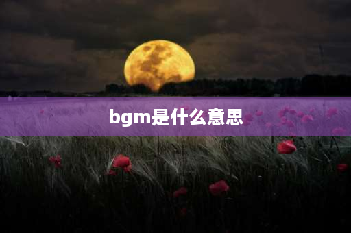 bgm是什么意思 bgm是什么意思？