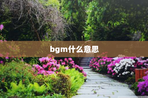 bgm什么意思 bgm什么意思？经常听到说自带BGM？