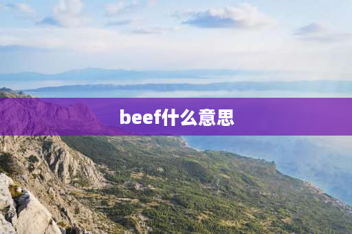 beef什么意思 牛肉的英语单词有复数吗？