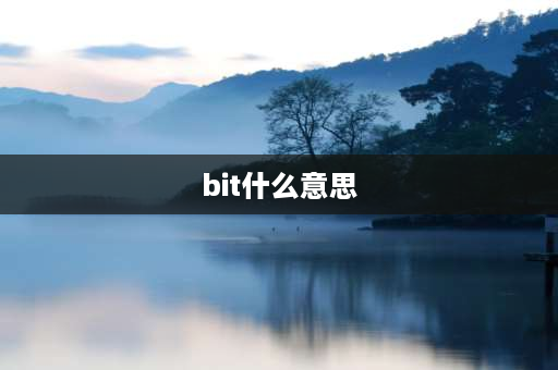 bit什么意思 bit是什么意思？