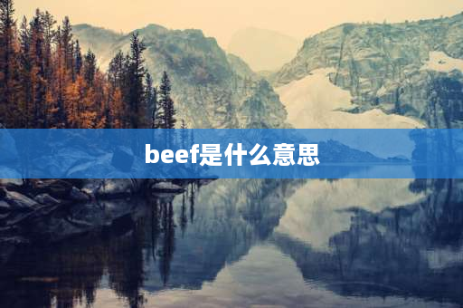 beef是什么意思 beef是不可数名词吗？