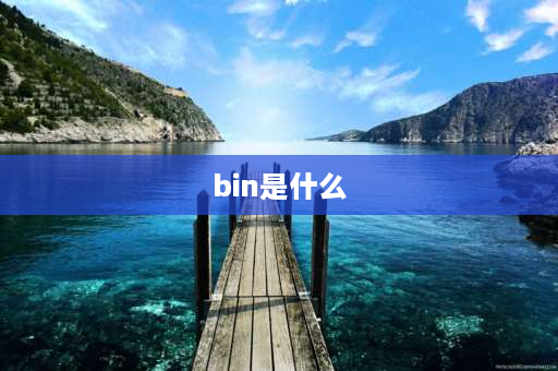 bin是什么 bin是什么文件格式，怎么打开？