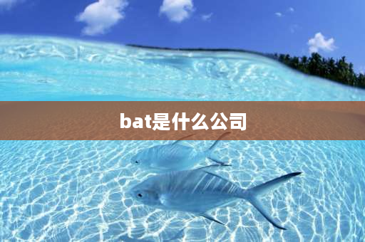 bat是什么公司 BAT是指哪几个公司？