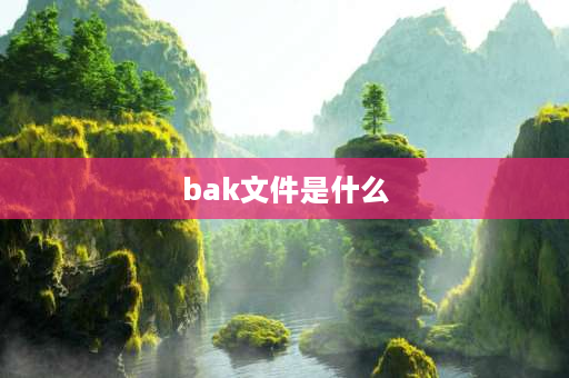 bak文件是什么 BAK文件是什么文件？