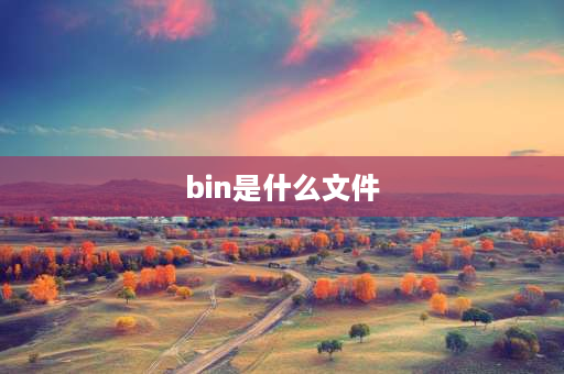 bin是什么文件 bin格式文件？