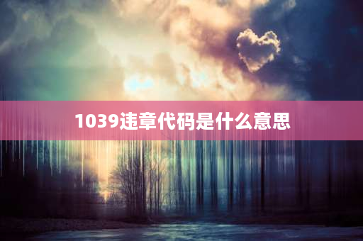 1039违章代码是什么意思 交通违章1039怎么处理？