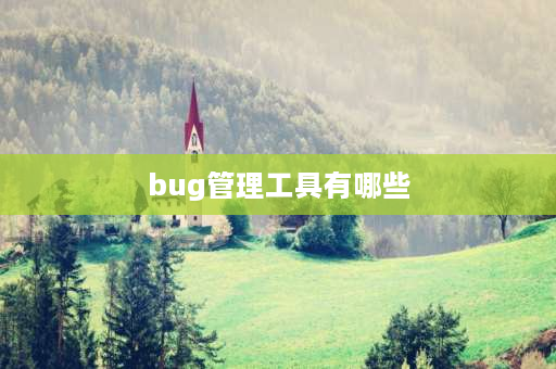 bug管理工具有哪些 bug是什么意思中文？