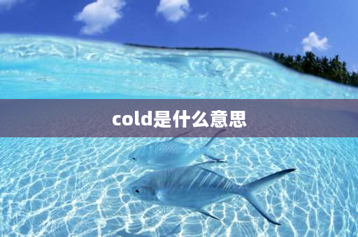 cold是什么意思 chilly和cold有什么区别？