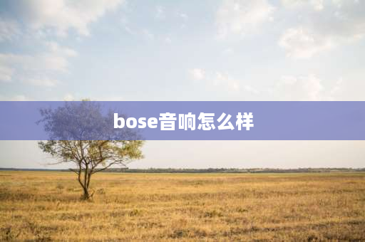 bose音响怎么样 bose音响到底怎么样？