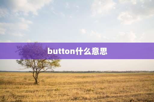 button什么意思 monitorbutton是电脑哪个按钮？