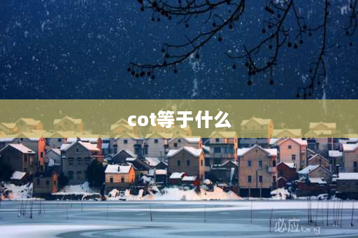 cot等于什么 Cot是什么意思？