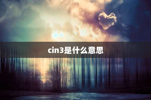 cin3是什么意思 c语言cin怎么定义类型？