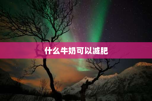 什么牛奶可以减肥 东方树叶加奶真的掉秤吗？