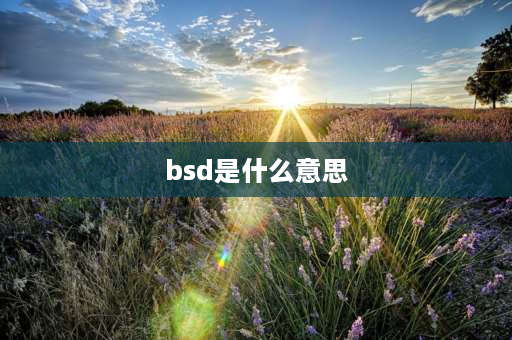 bsd是什么意思 BSD是什么意思？