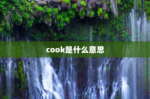 cook是什么意思 cook和cooking区别？