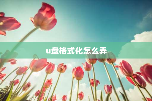 u盘格式化怎么弄 u盘安装盘怎样格式化？