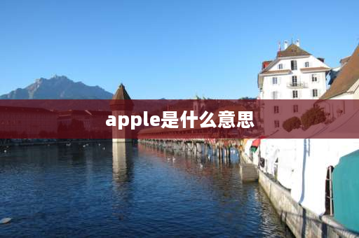 apple是什么意思 apple和app的区别？