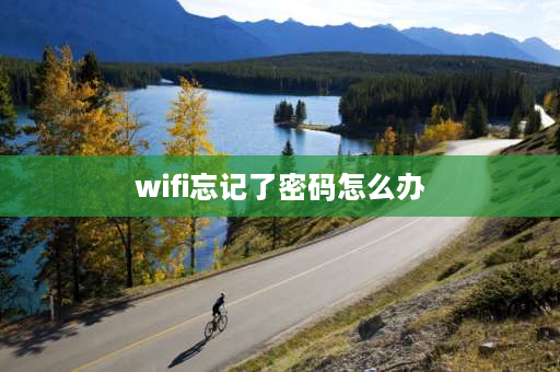 wifi忘记了密码怎么办 忘记Wi-Fi密码了怎么连？