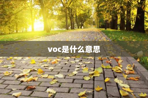 voc是什么意思 voc是什么意思？