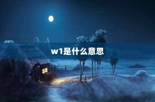 w1是什么意思 三调标注类型为W1是什么意思？