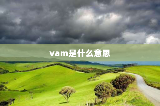 vam是什么意思 什么是对赌协议？