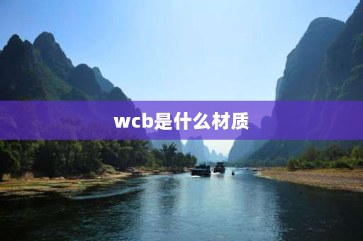 wcb是什么材质 wcb材质跟20g的区别？